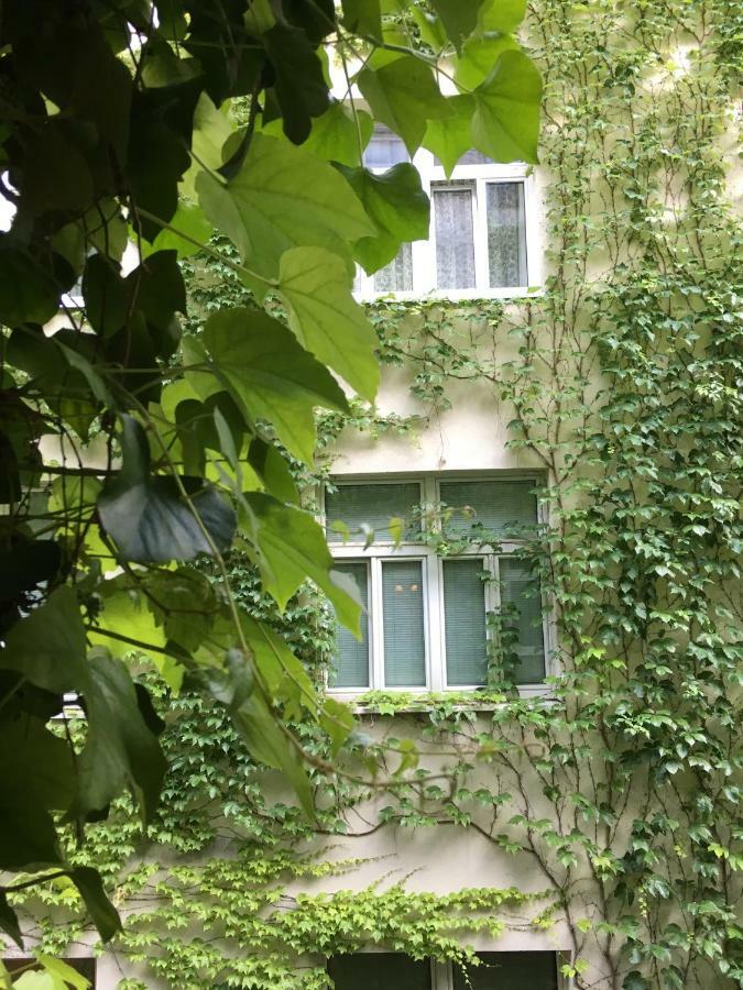 Charmante Altbauapartments Apostelgasse Vienna Luaran gambar